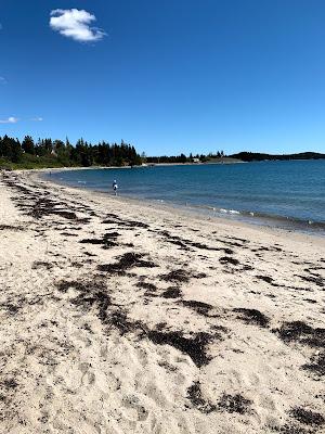 Sandee - Roque Bluffs Beach