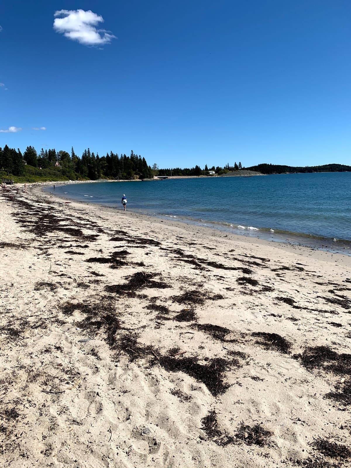 Sandee - Roque Bluffs Beach