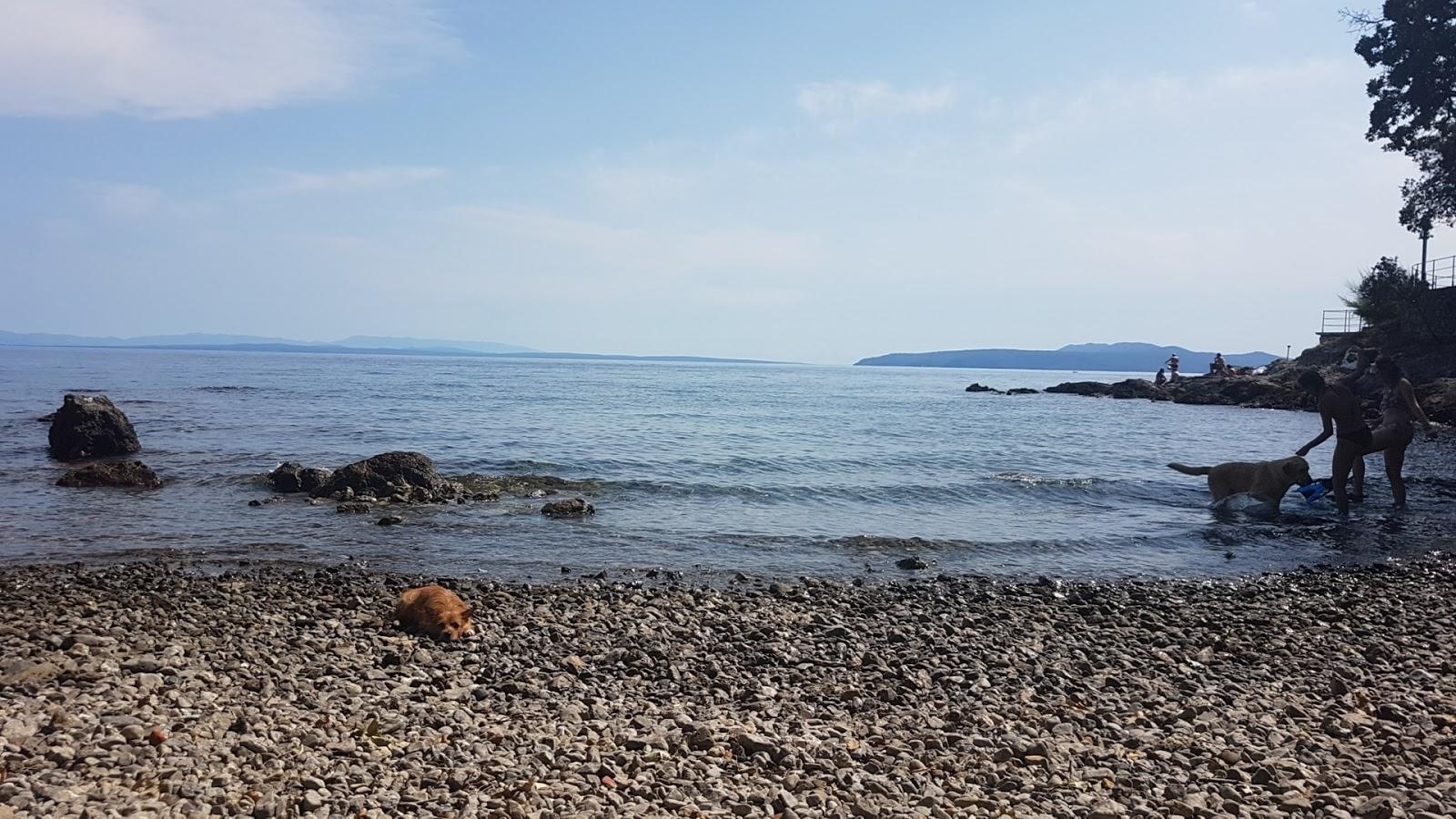 Sandee Dogs Beach Photo