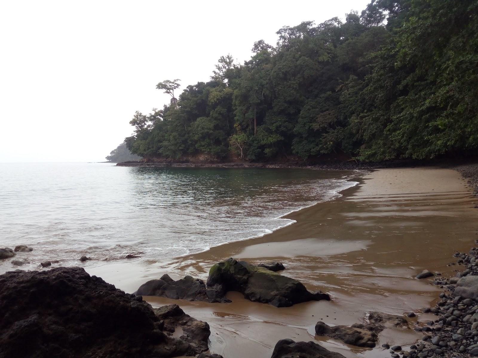 Sandee Praia Picao