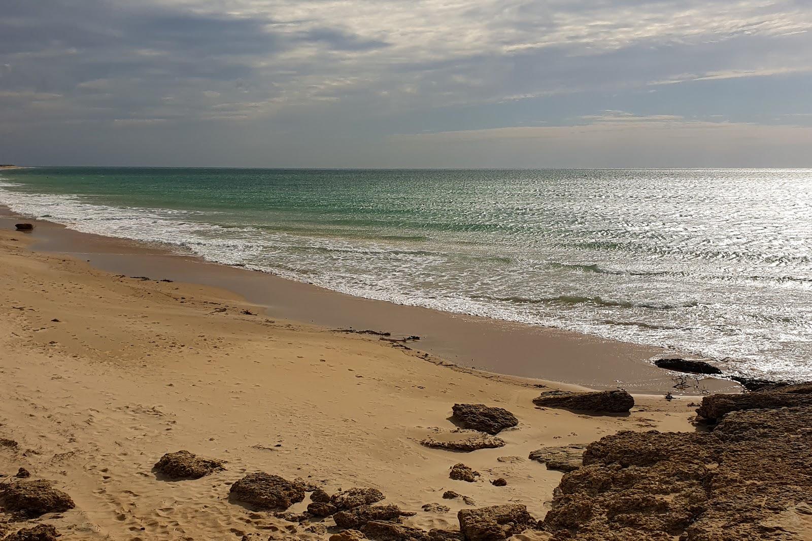 Sandee - El Palmar Beach