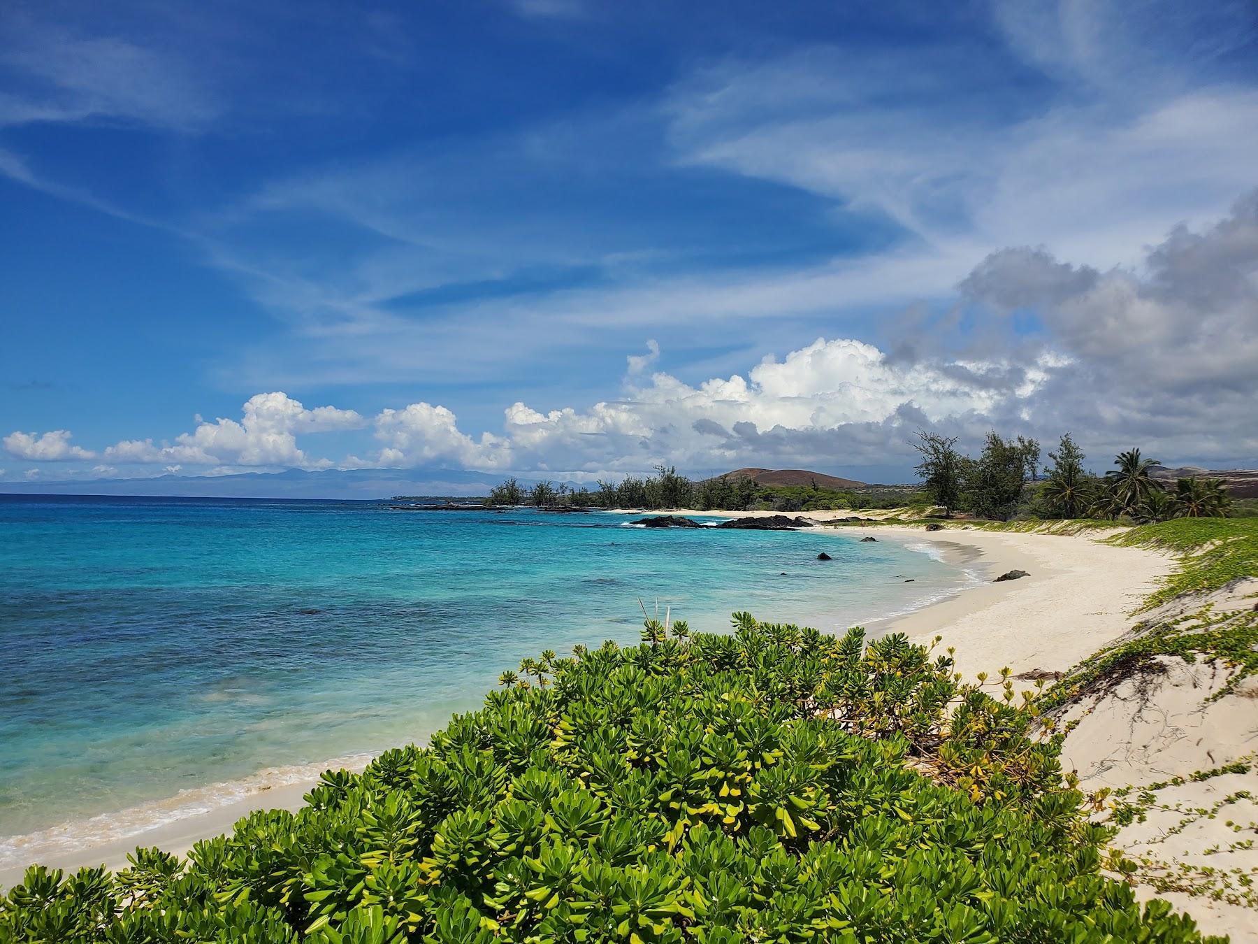 Sandee Makalawena Beach