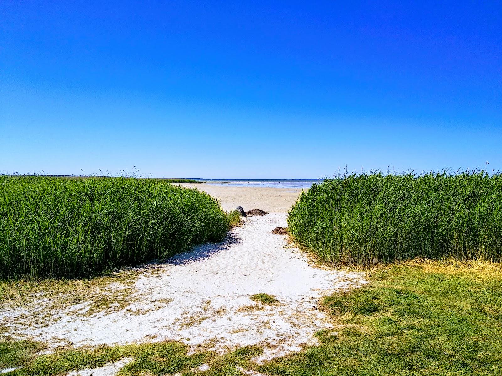 Sandee Haapsalu Surf Beach
