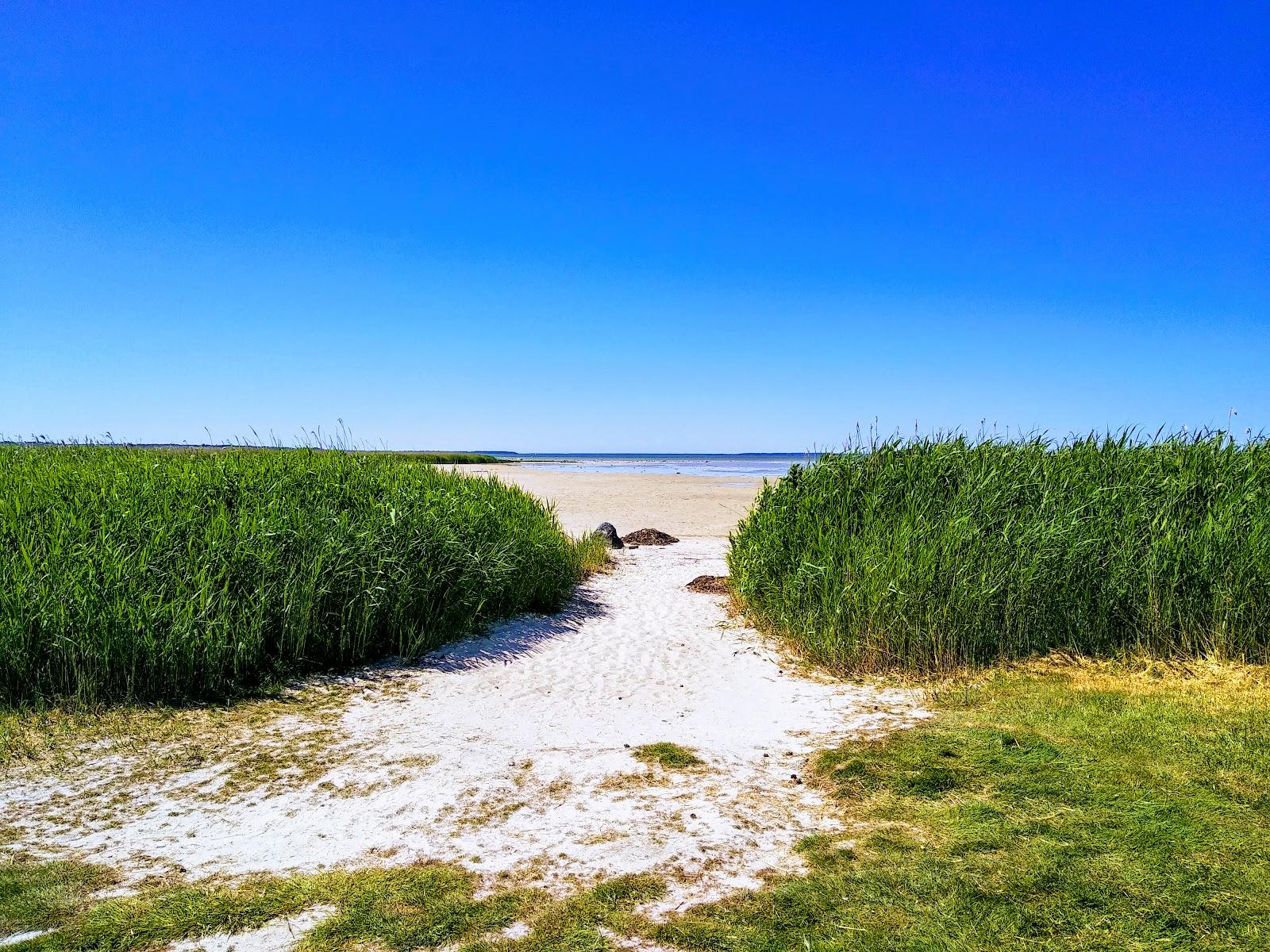 Sandee Haapsalu Surf Beach Photo