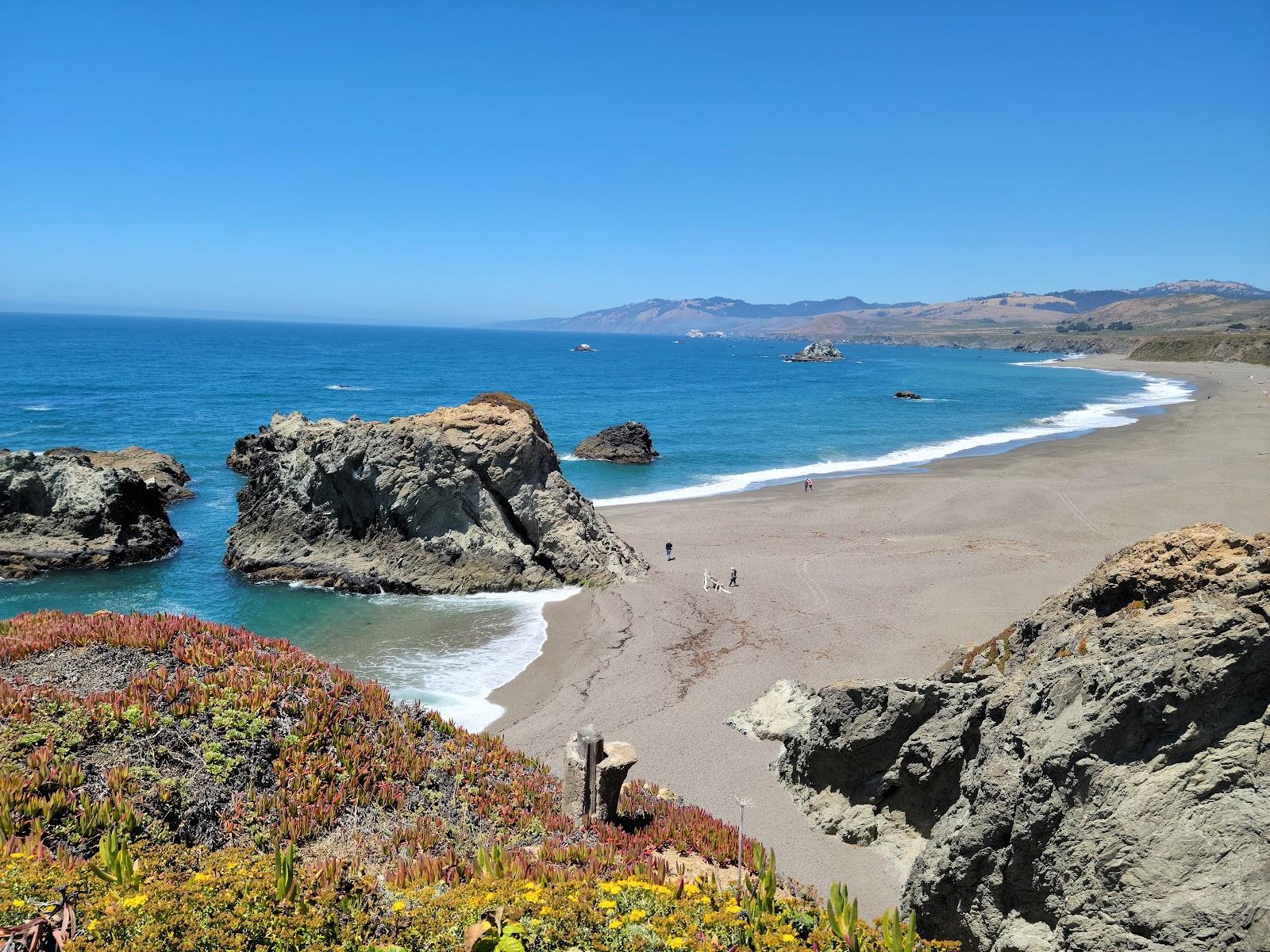 Sandee - Sonoma Coast State Park