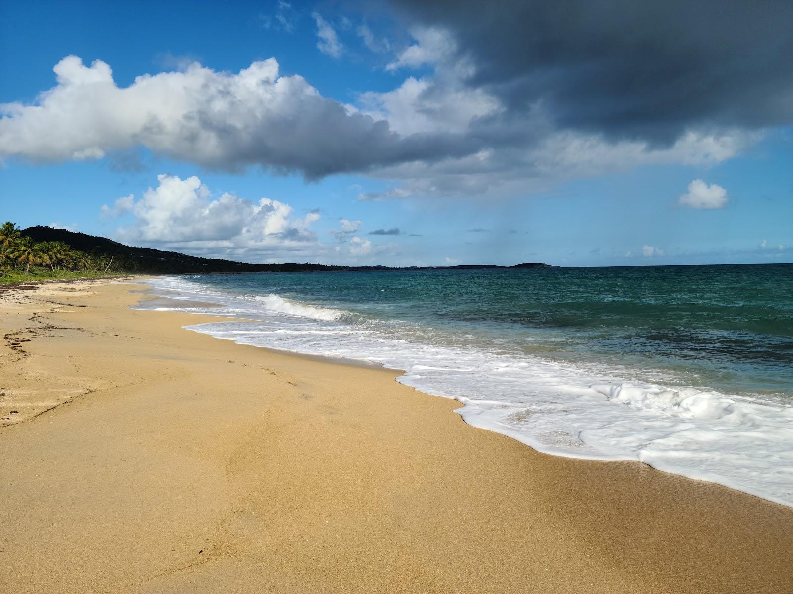 Sandee Playa Grande - North Photo