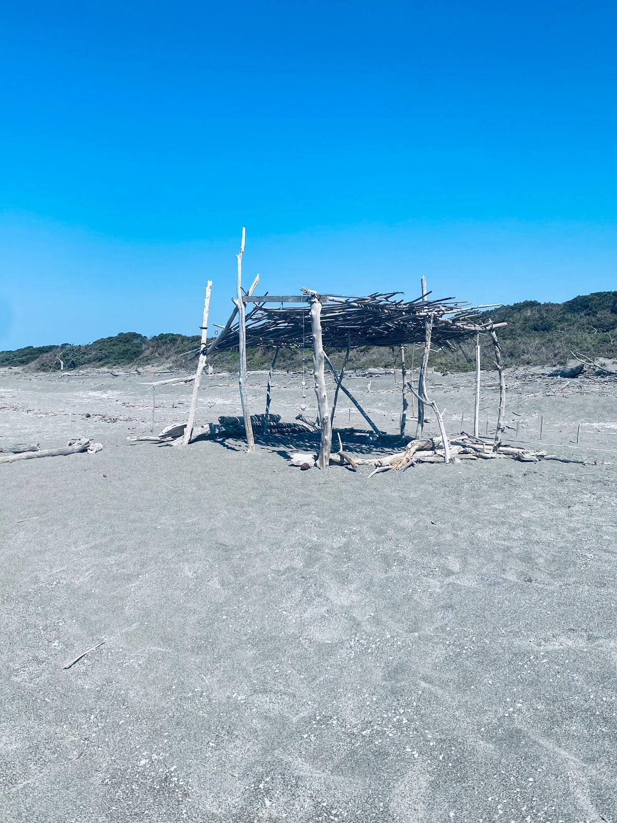 Sandee Spiaggia Wwf