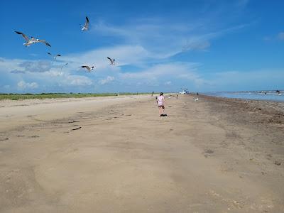 Sandee - Sea Rim State Park