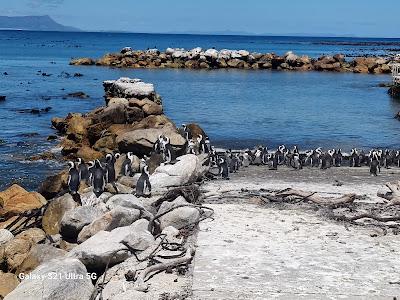 Sandee - Betty's Bay Main Beach