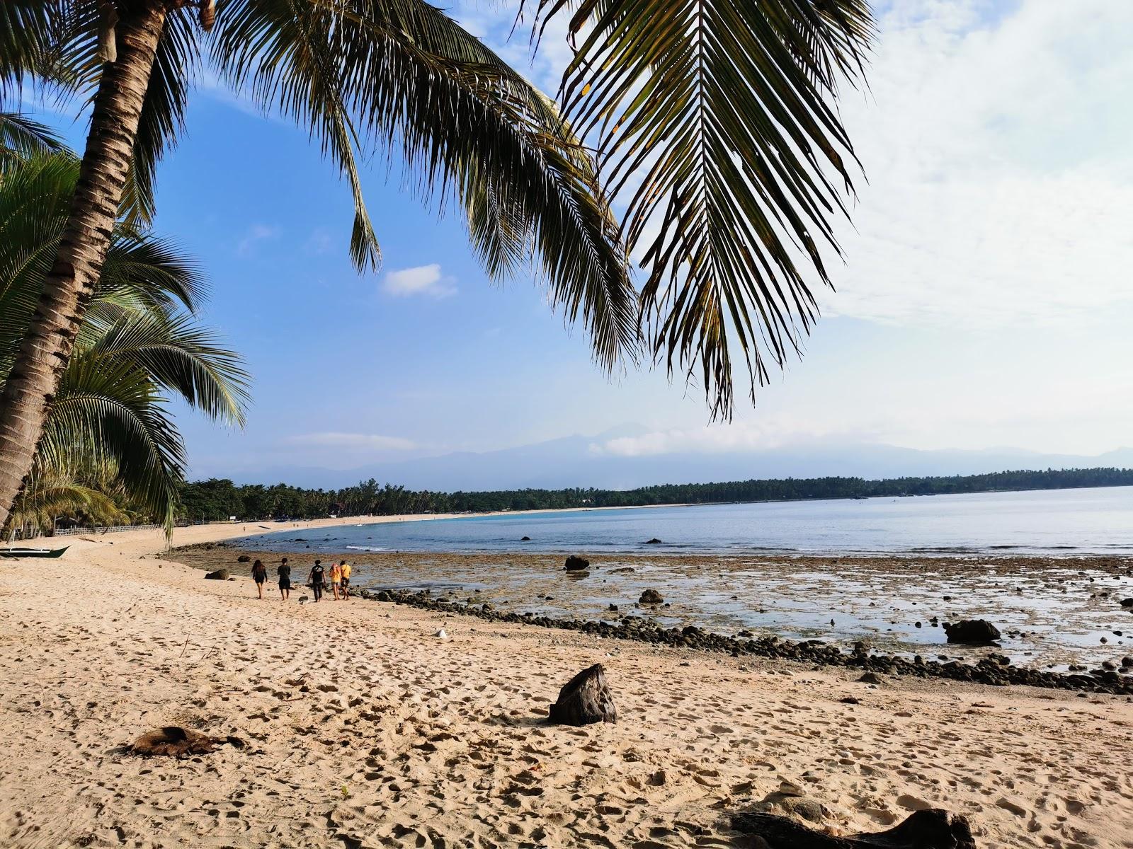 Sandee Botana Beach Resort