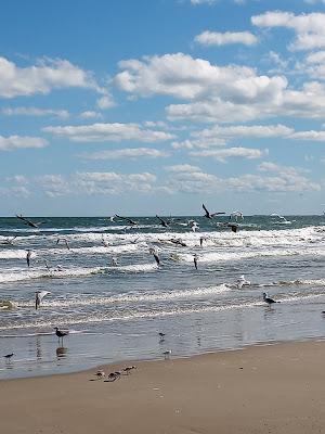 Sandee - San Jose Island