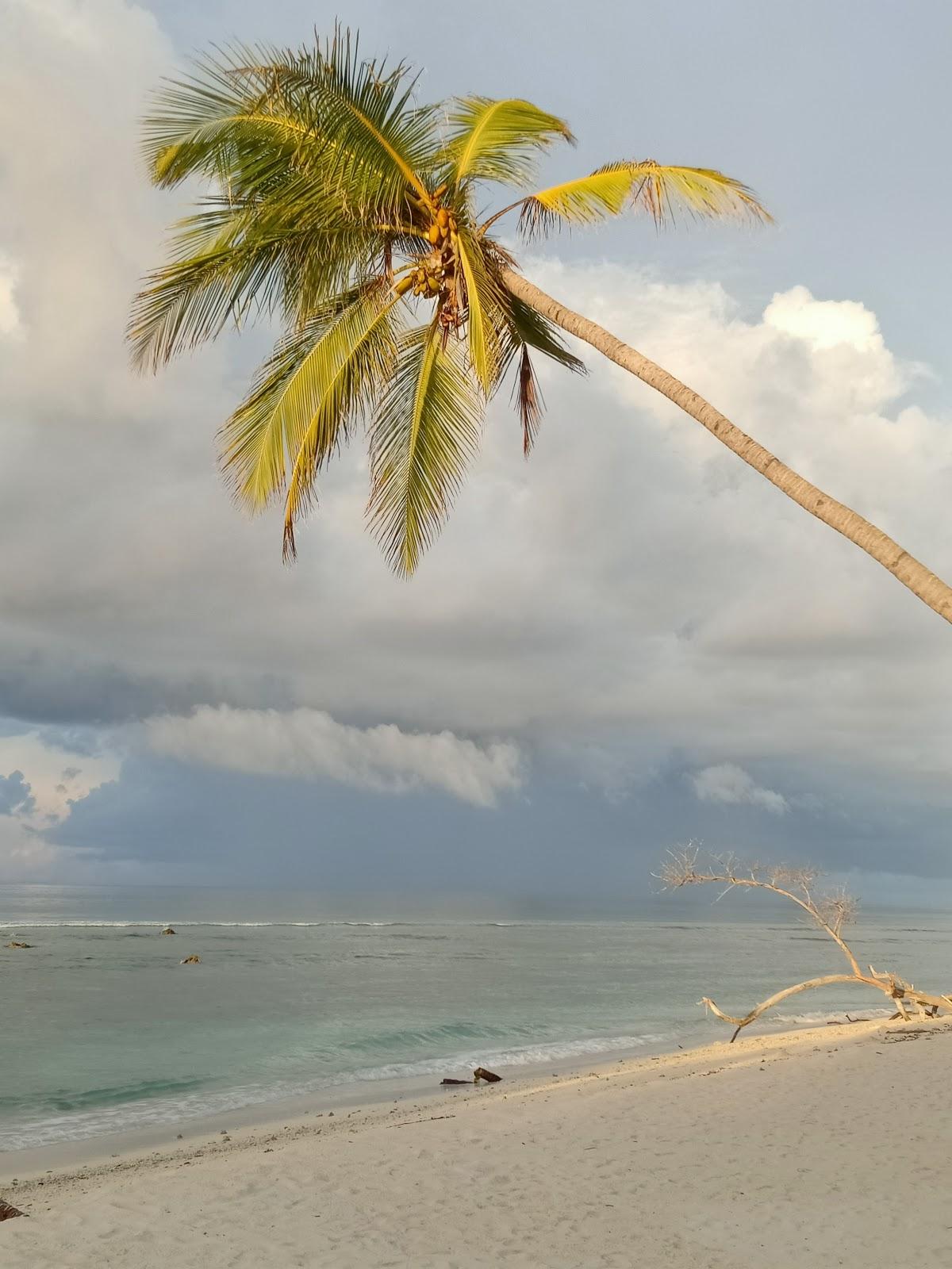 Sandee Bodumagu Beach