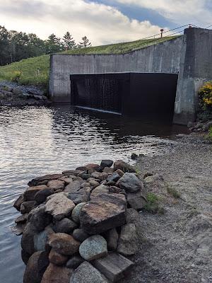 Sandee - Goose Pond Dam Beach