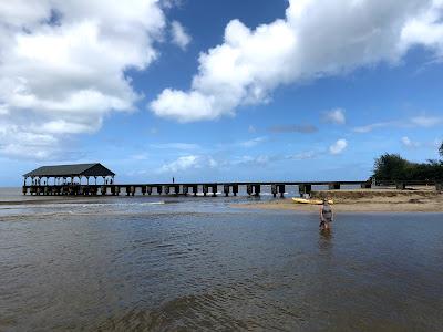 Sandee - Hanalei Bay