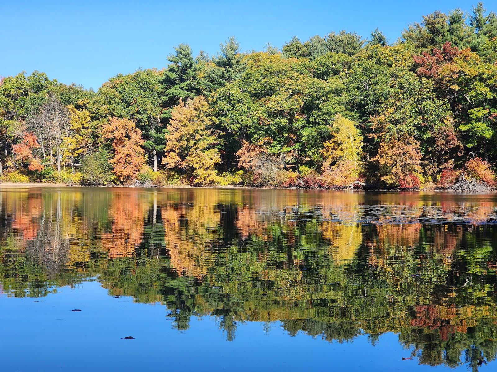 Sandee Houghton's Pond Beach