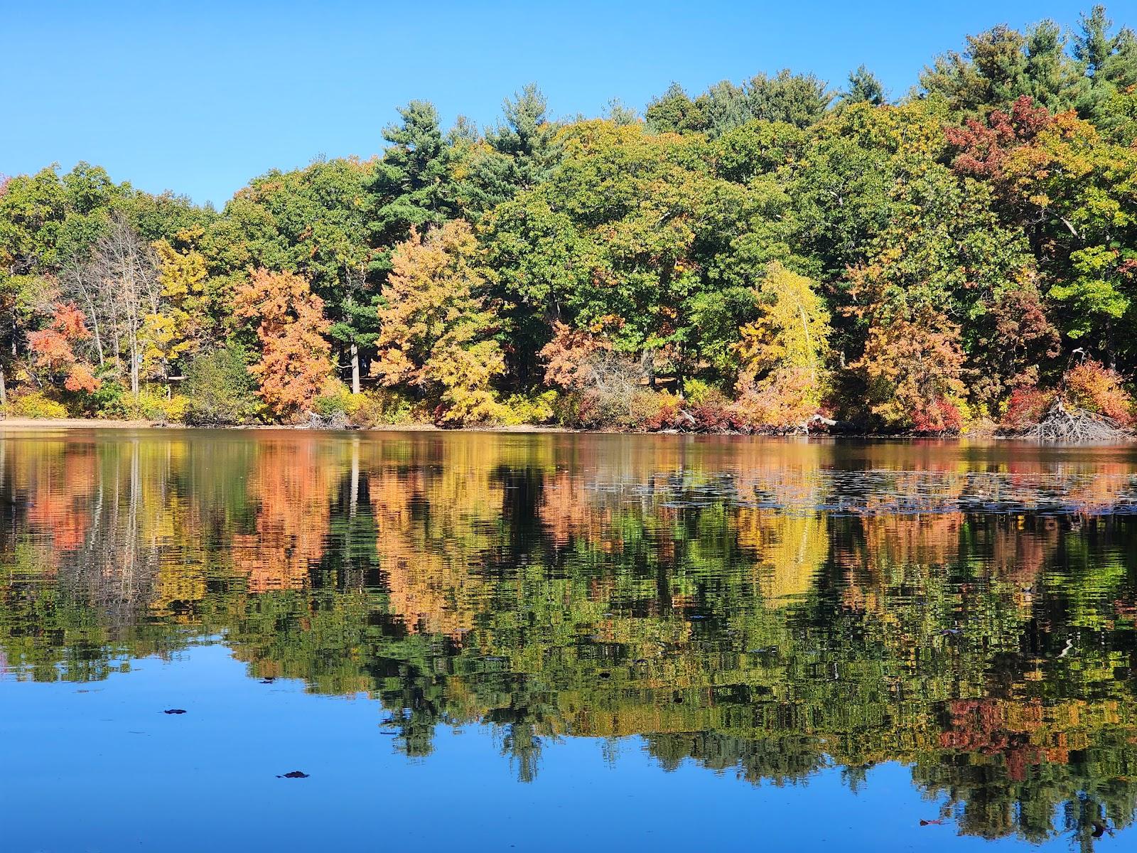 Sandee Houghton's Pond Beach Photo