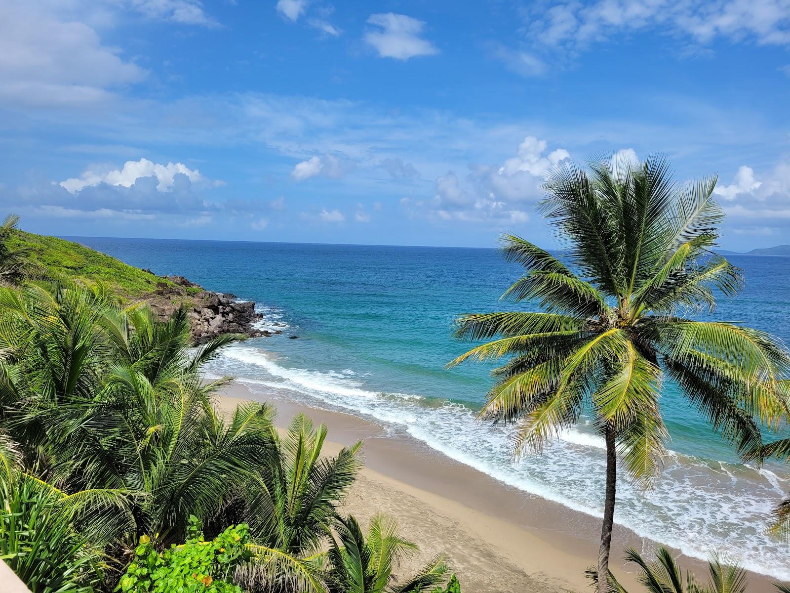 Sandee Petite Anse Beach Photo