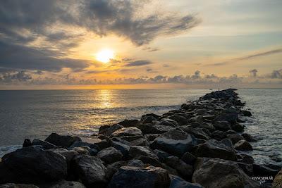 Sandee - Ponce Inlet Beach