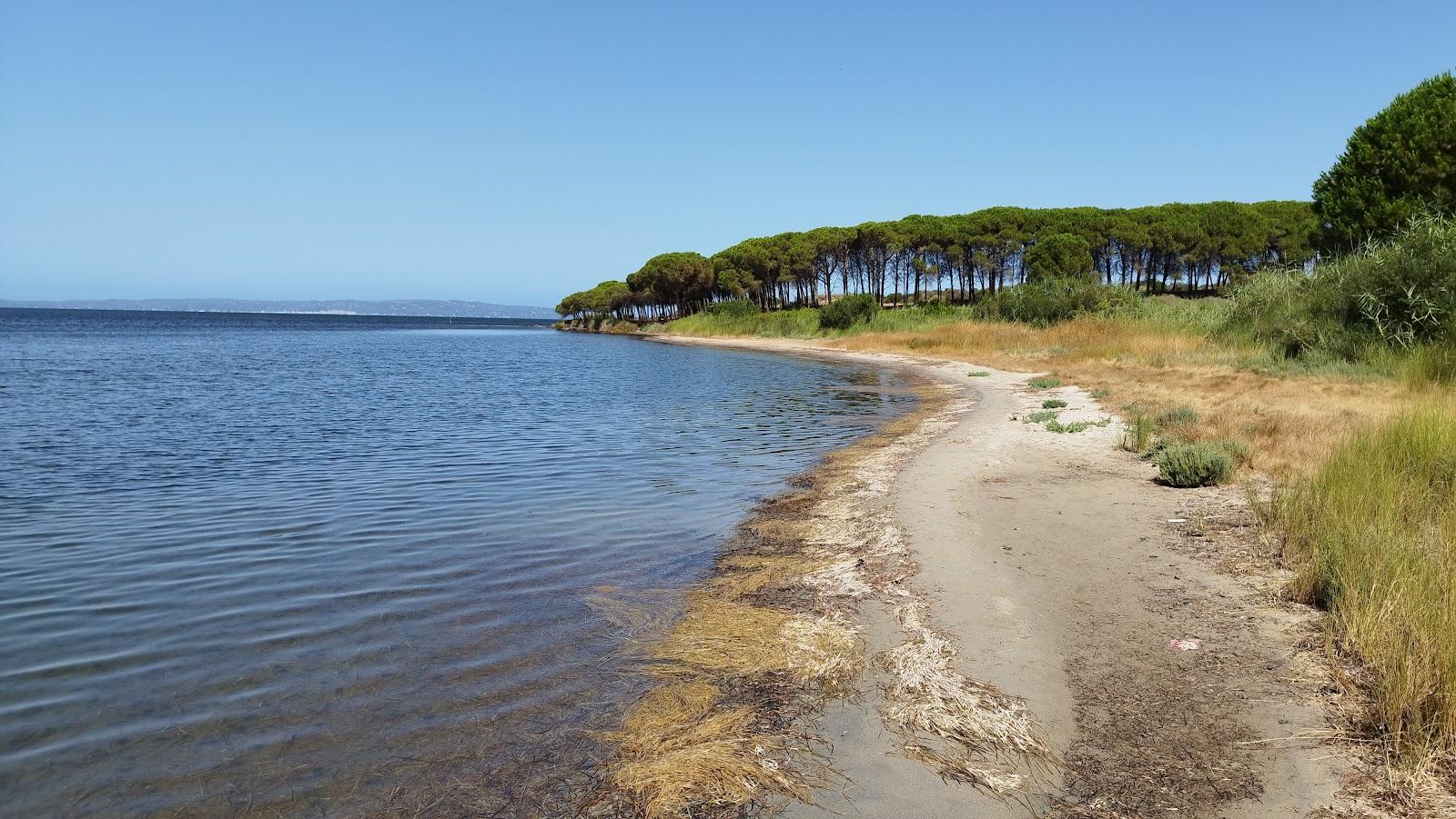 Sandee Spiaggia Di Corongiuali