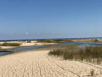 Sandee - Flag Ponds Nature Park