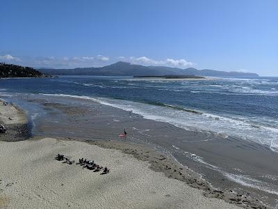 Sandee - Netarts Bay Lookout