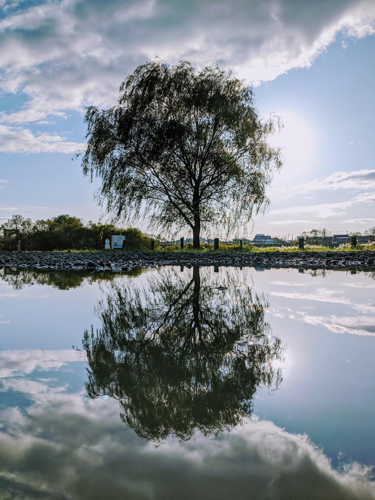 Sandee Mabu River Park Photo