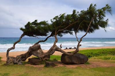 Sandee - Kealia Beach