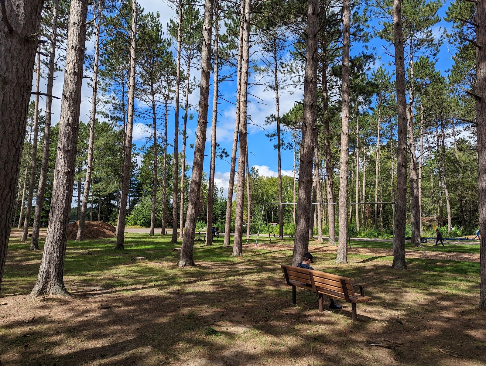 Sandee Solberg Lake County Park Photo