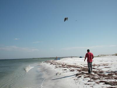 Sandee - Santa Rosa Island Beach