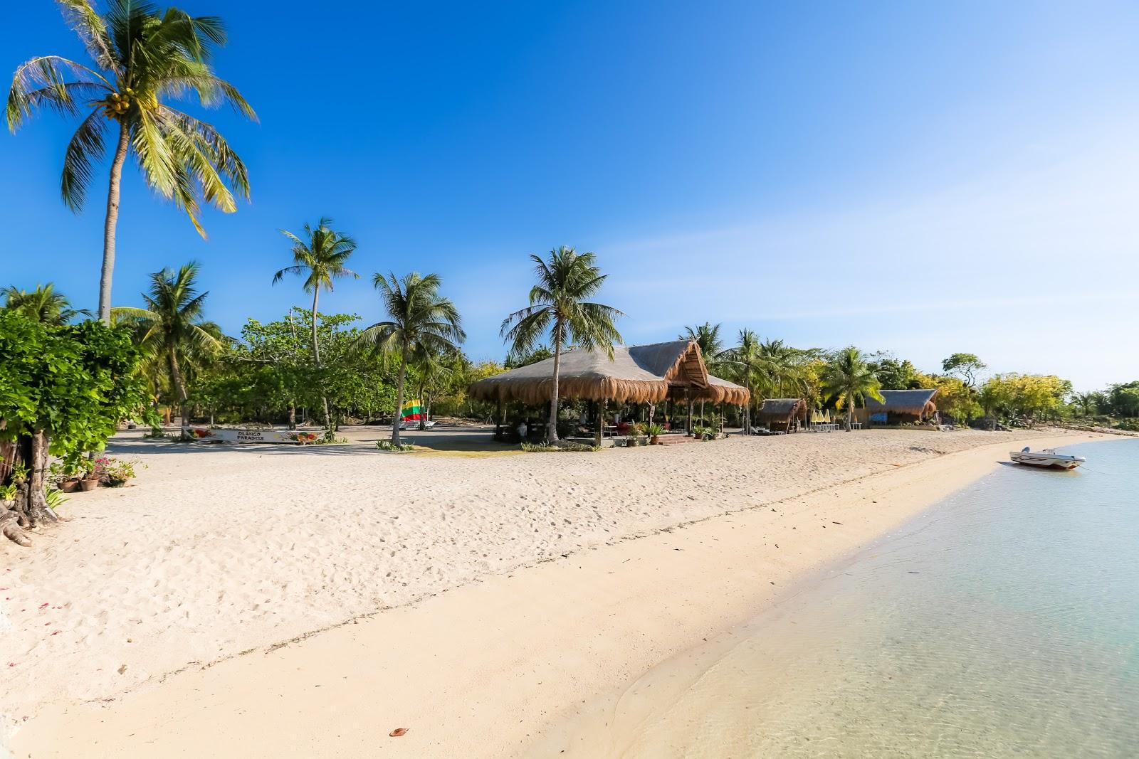Sandee Olango Paradise Island Resort Beach