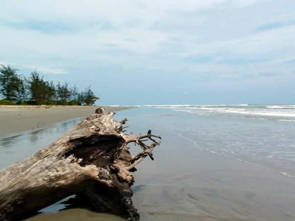 Sandee Pantai Samudra Ujung