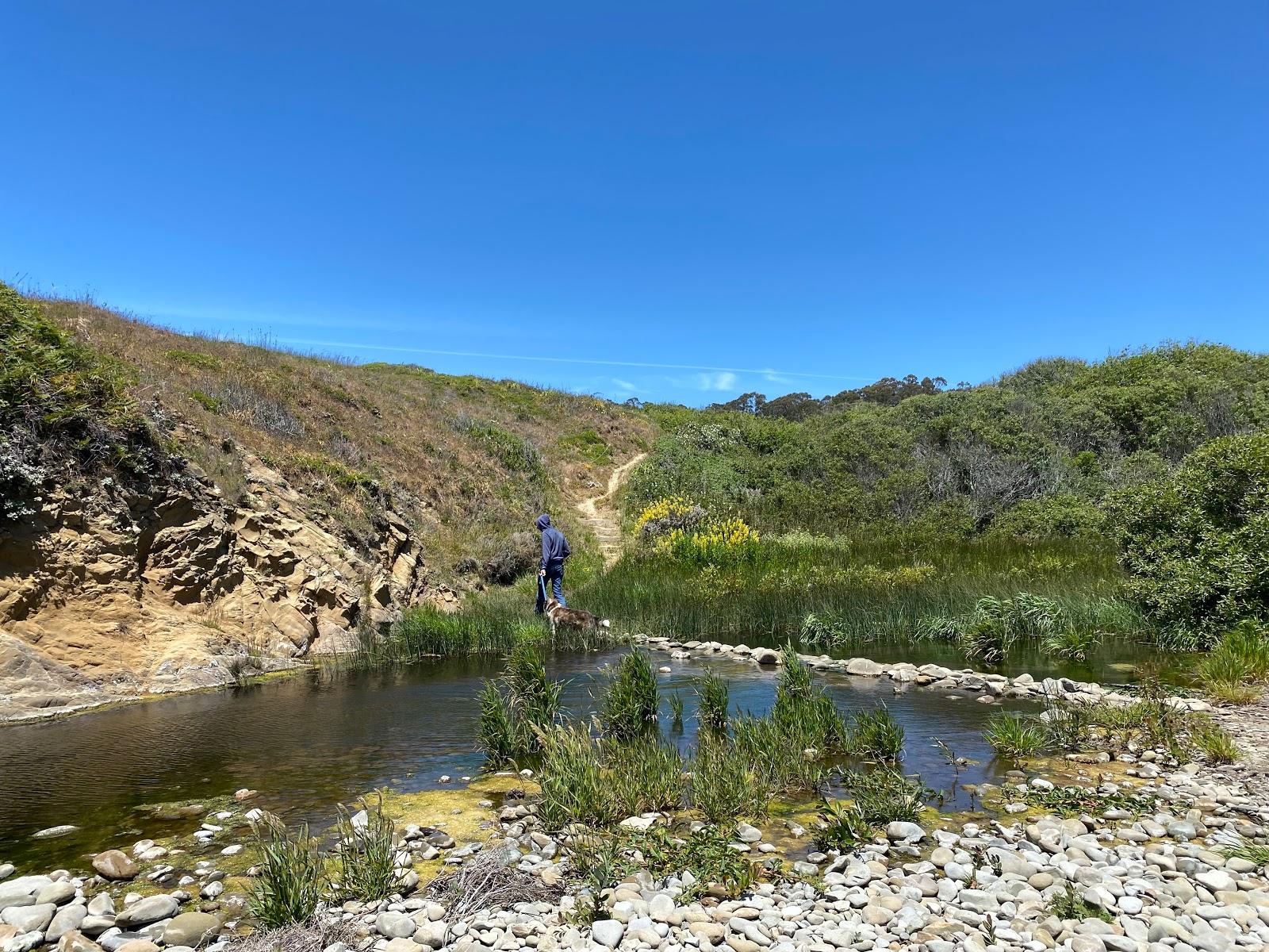 Sandee - Whitehouse Creek Beach Access