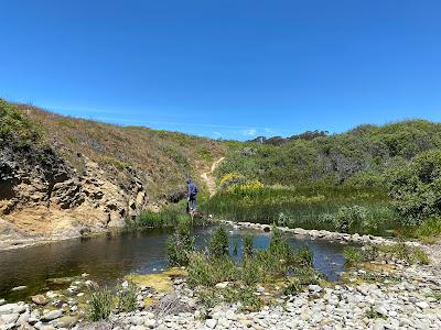 Sandee - Whitehouse Creek Beach Access