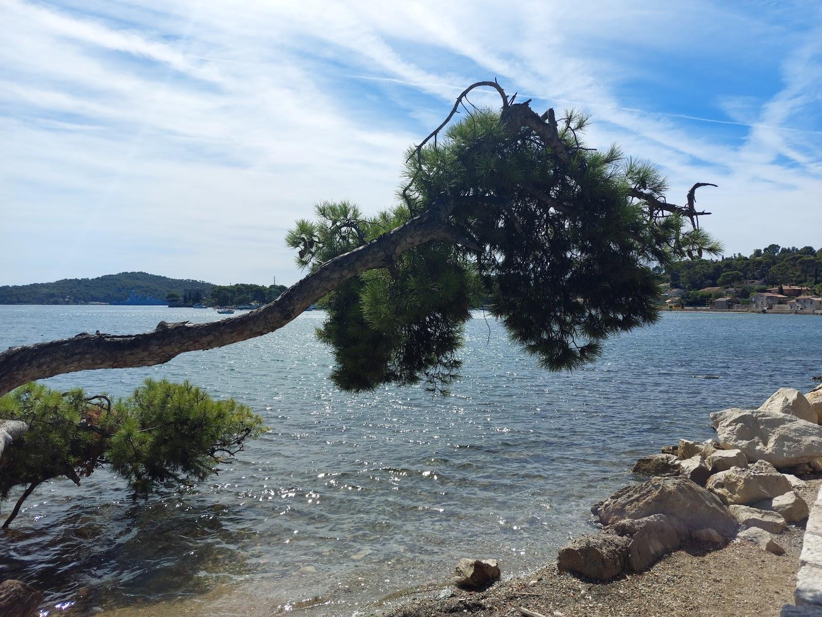 Sandee - Plage Du Fort De L'Eguillette