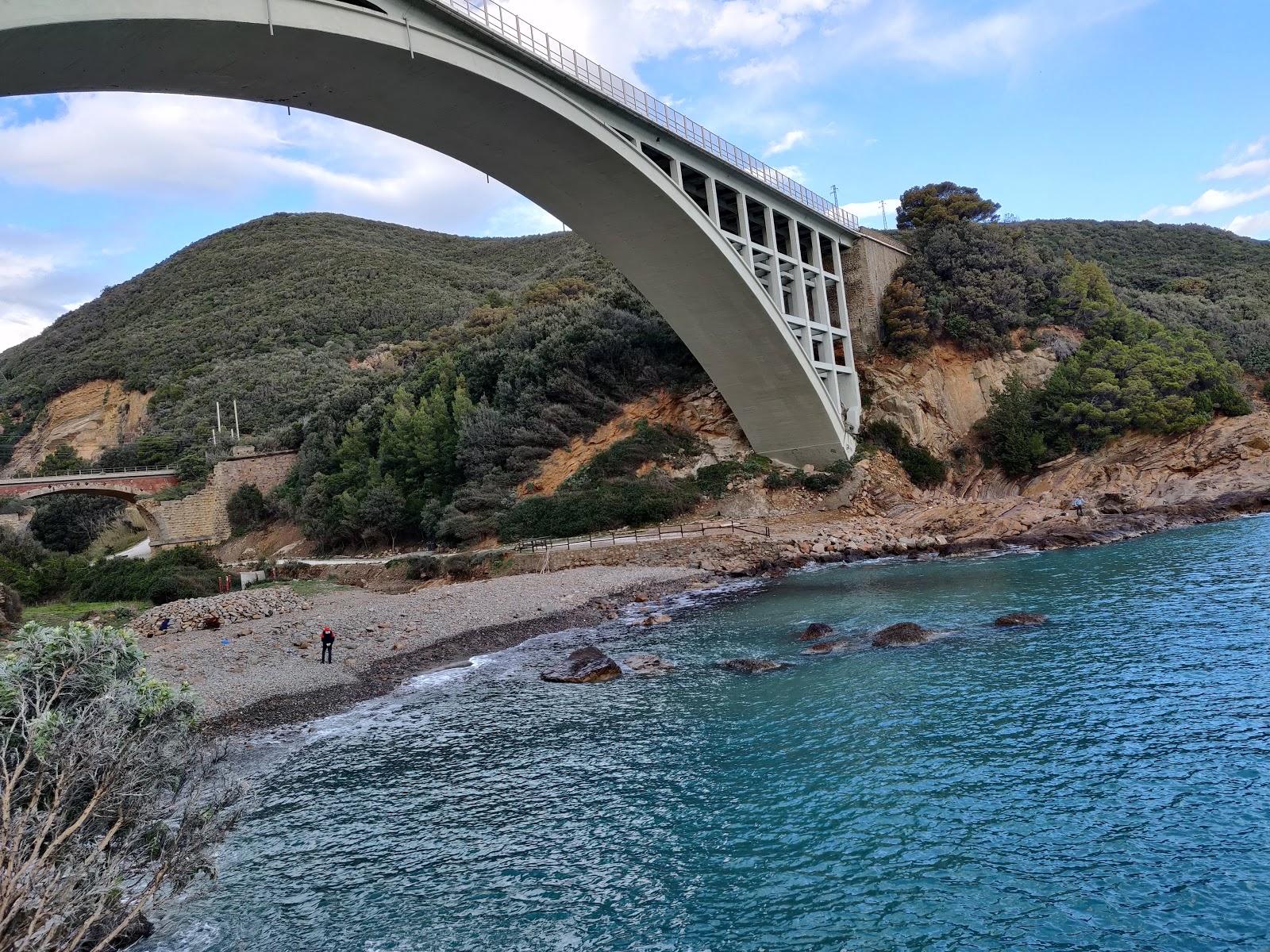 Sandee Spiaggia Di Calignaia