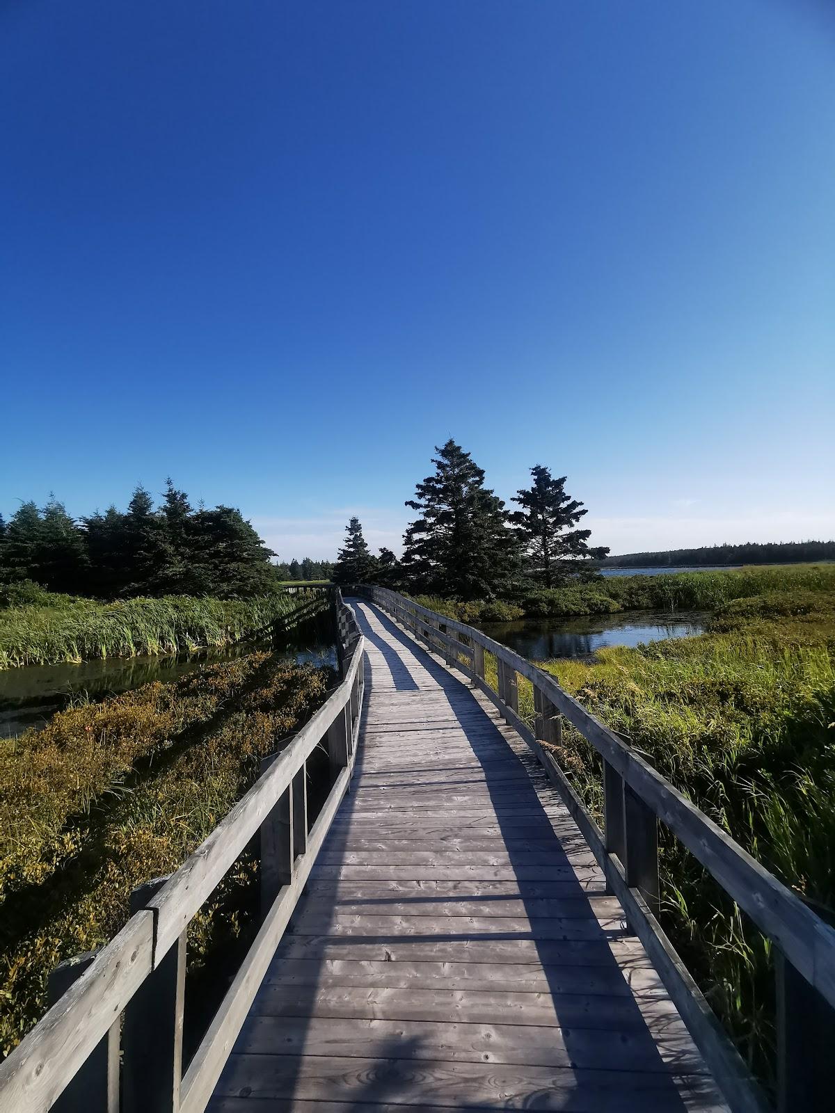 Sandee Black Duck Cove Provincial Park