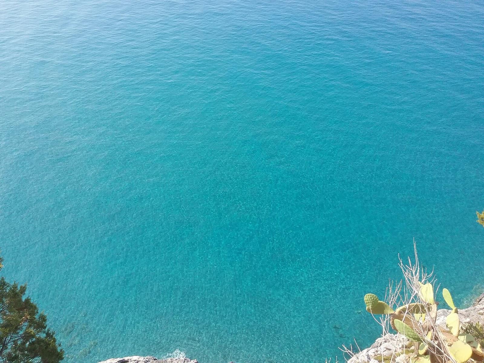 Sandee Cavinia Beach