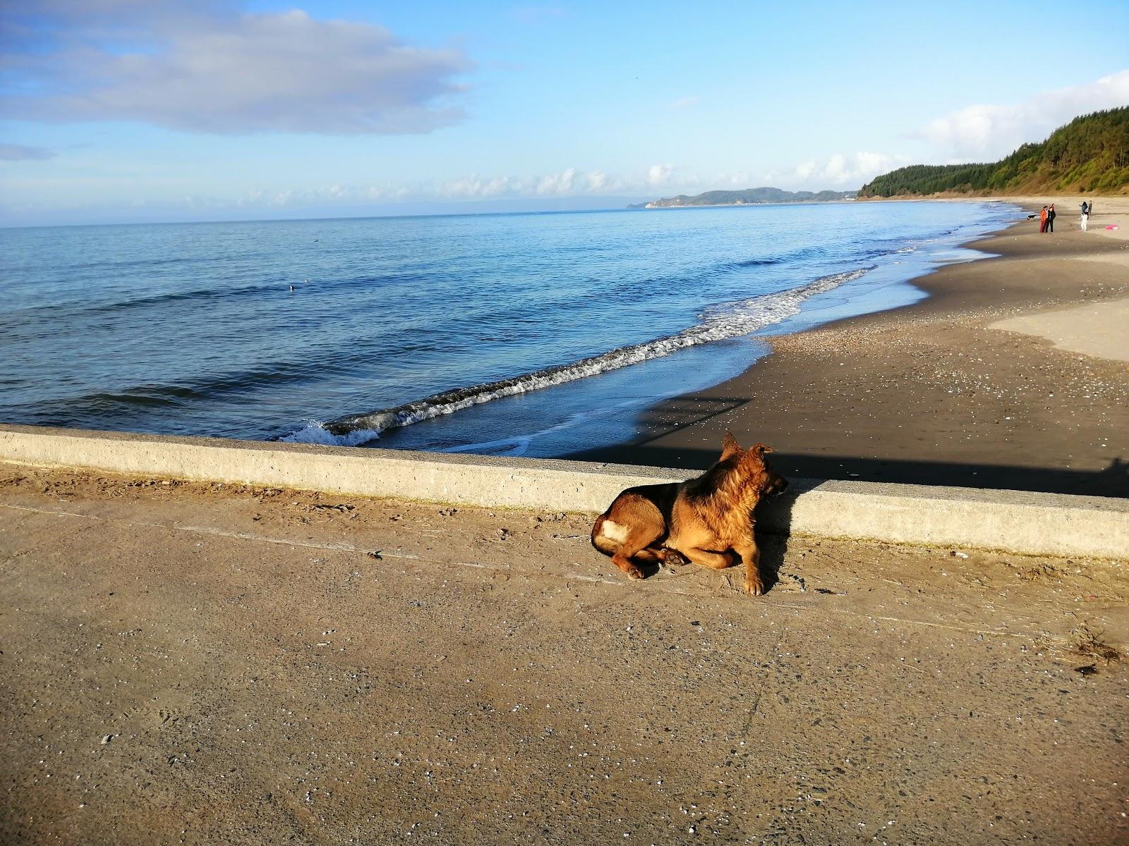 Sandee Playa De Llico Photo