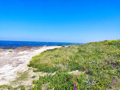 Sandee - Laderca Beach