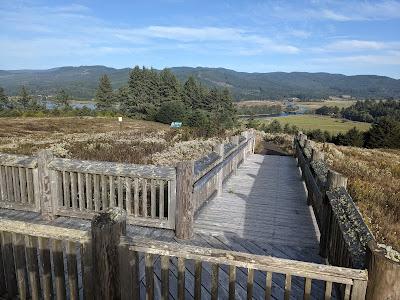 Sandee - Nestucca Bay National Wildlife Refuge