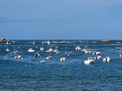 Sandee - Plage De L'Ile Renote