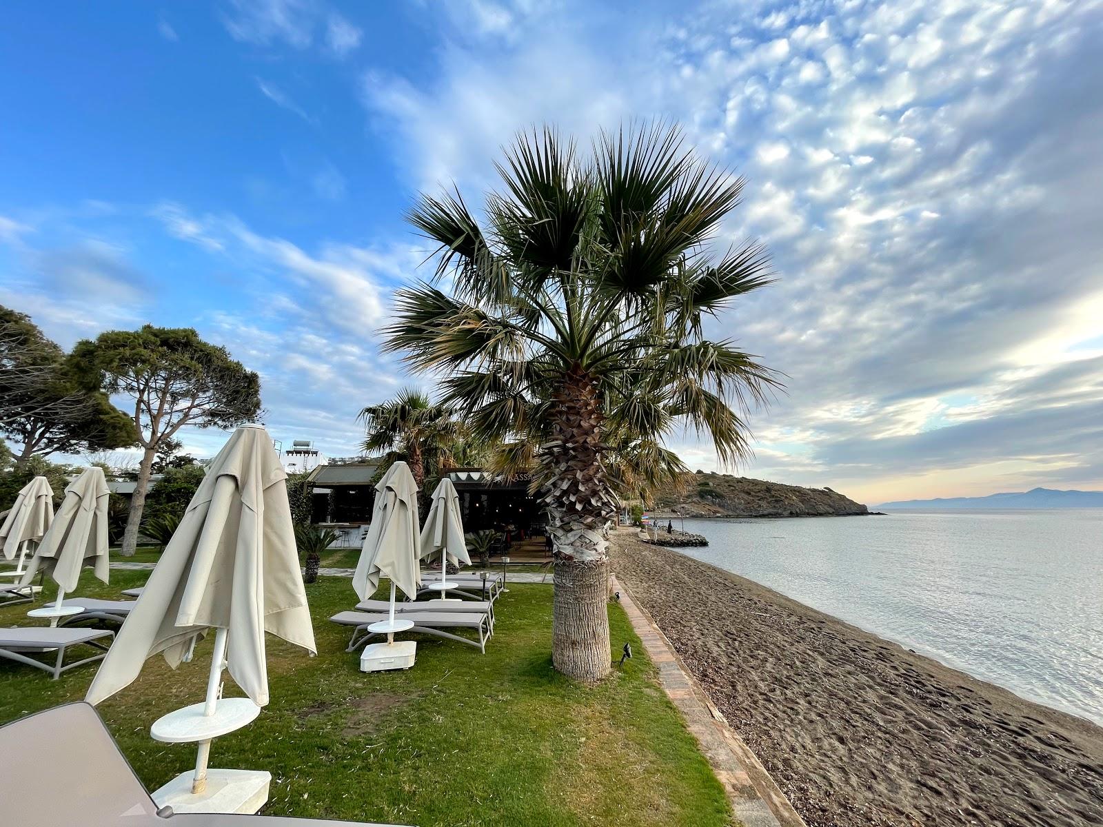 Sandee Hope Hotel Beach