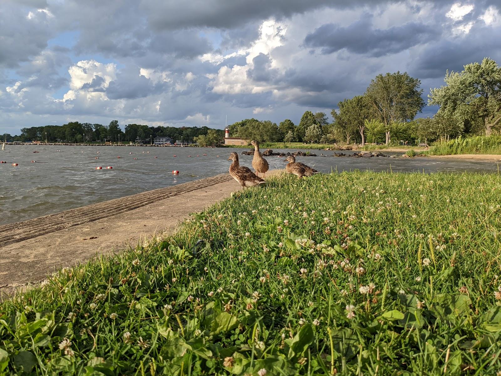 Sandee Tenney Park Beach Photo