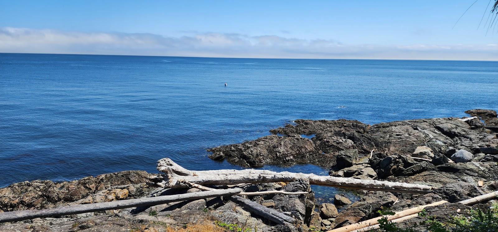 Sandee Cadboro View Beach Access Photo