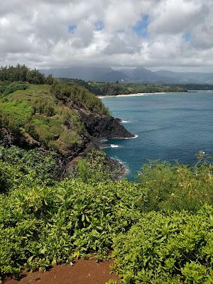 Sandee - Kilauea Point