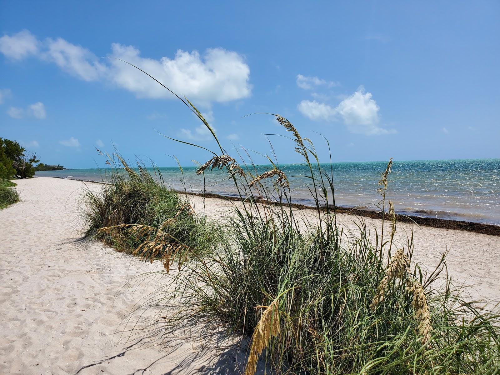 Sandee - Coco Plum Beach