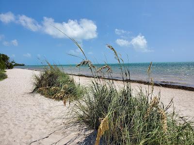 Sandee - Coco Plum Beach