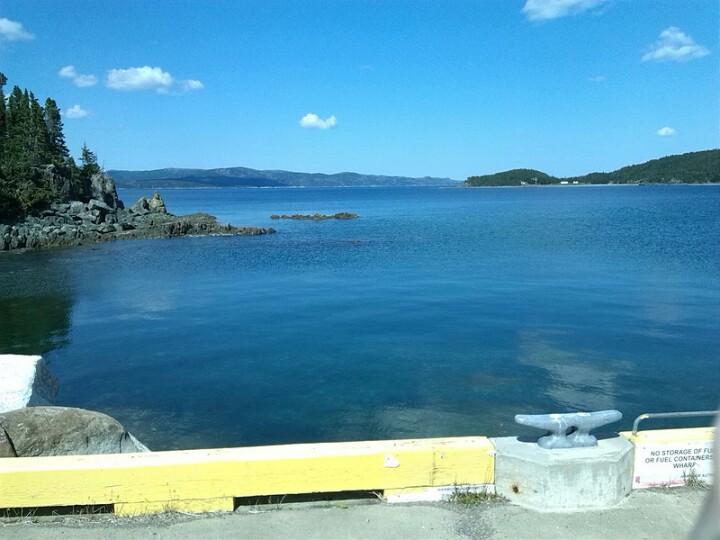 Sandee Jackson's Cove