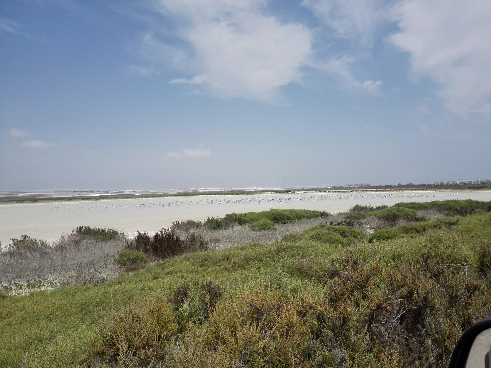 Sandee - Punta Entinas Sabinar