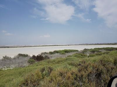 Sandee - Punta Entinas Sabinar